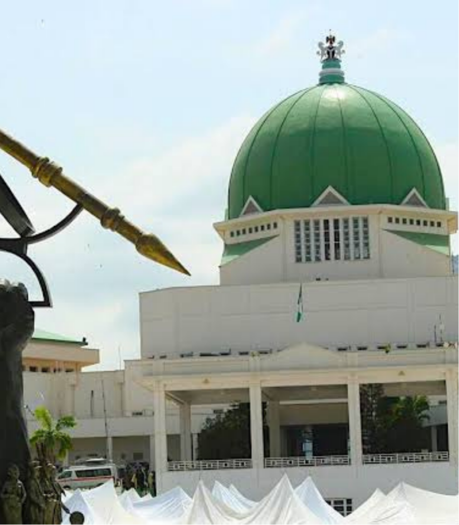 2027 Elections: Only 443 Women Among 4,408 NASS Candidates – INEC